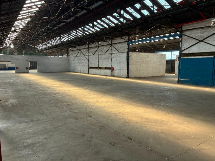 To Let Commercial Property for Rent in Elandsfontein Gauteng