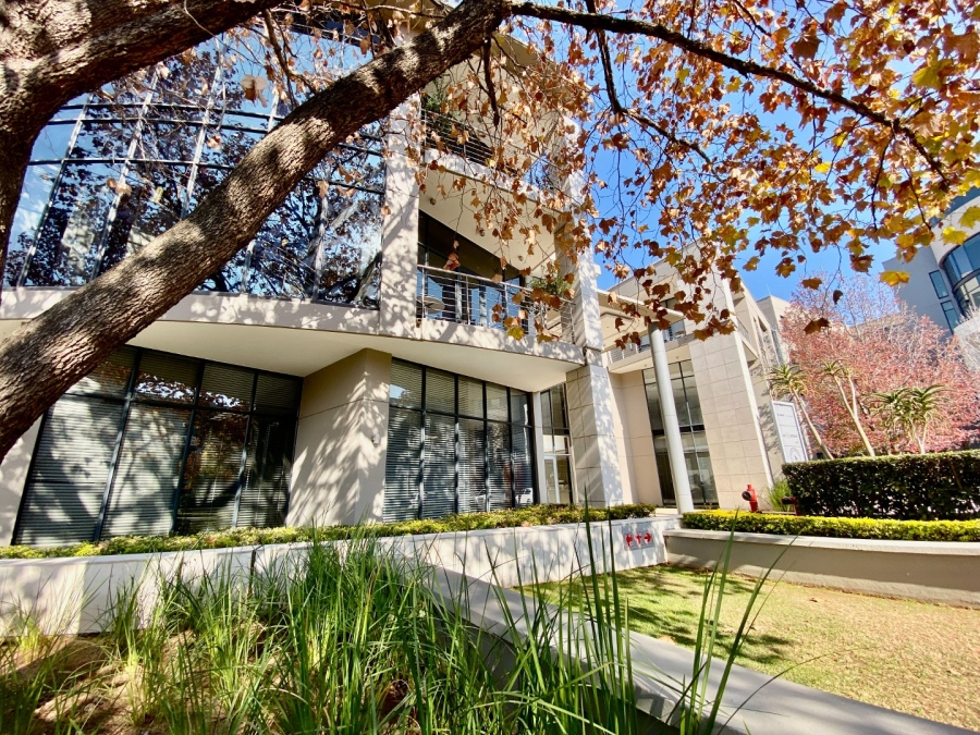To Let Commercial Property for Rent in Lynnwood Manor Gauteng
