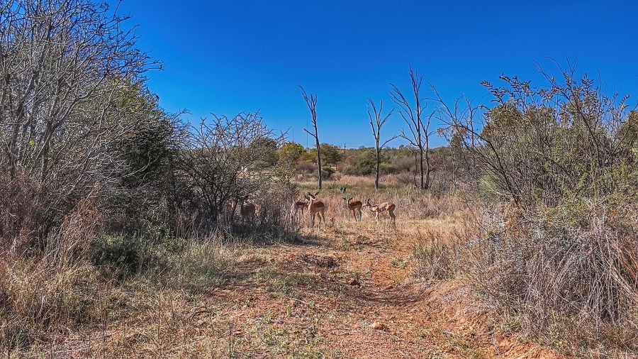 Commercial Property for Sale in Dinokeng Game Reserve Gauteng