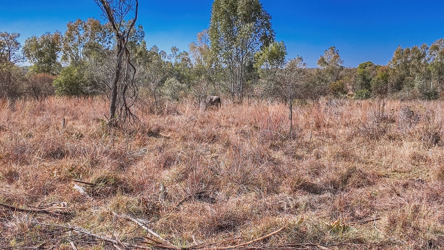 Commercial Property for Sale in Dinokeng Game Reserve Gauteng