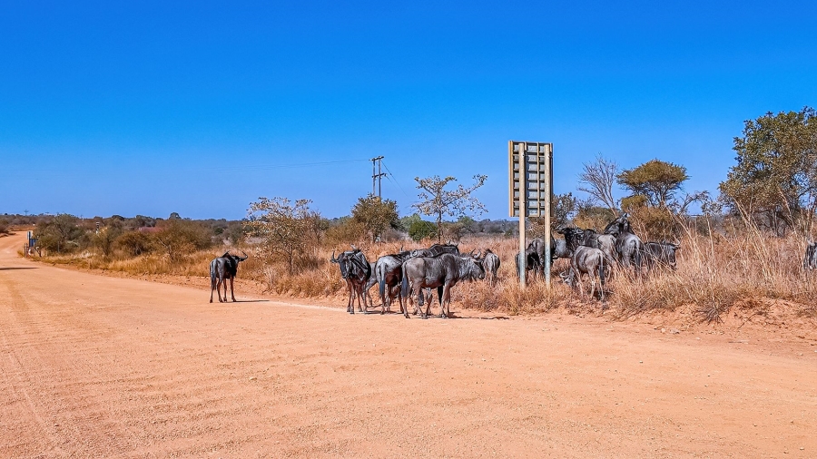 Commercial Property for Sale in Dinokeng Game Reserve Gauteng
