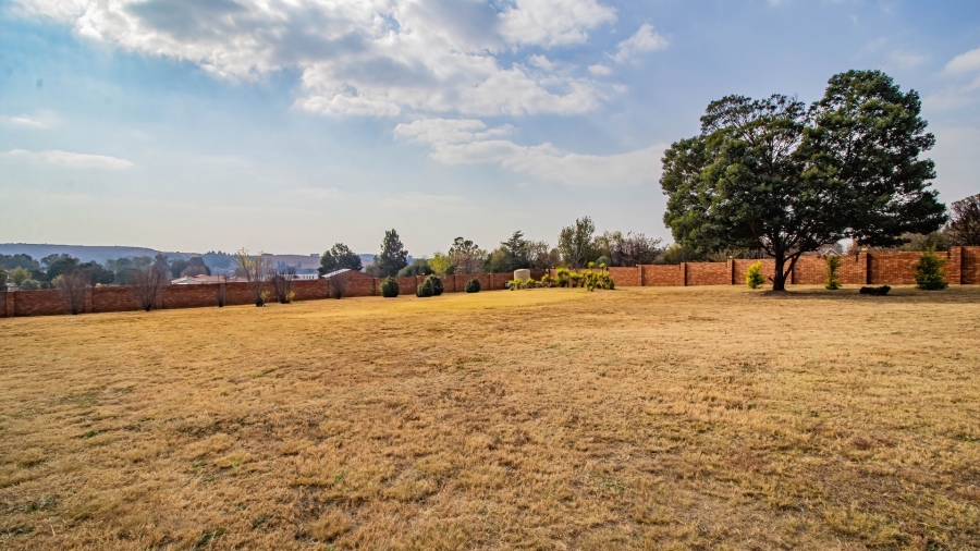 4 Bedroom Property for Sale in Blue Saddle Ranches Gauteng