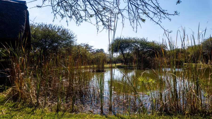 31 Bedroom Property for Sale in Dinokeng Game Reserve Gauteng