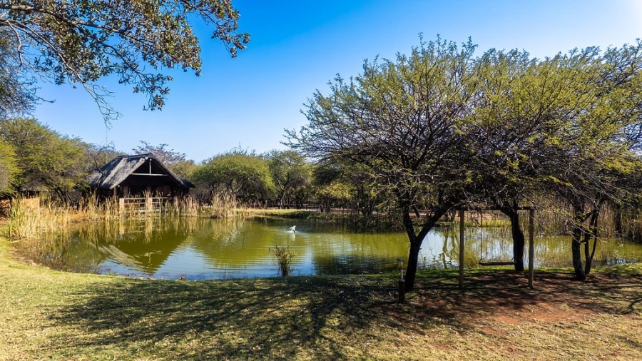 31 Bedroom Property for Sale in Dinokeng Game Reserve Gauteng