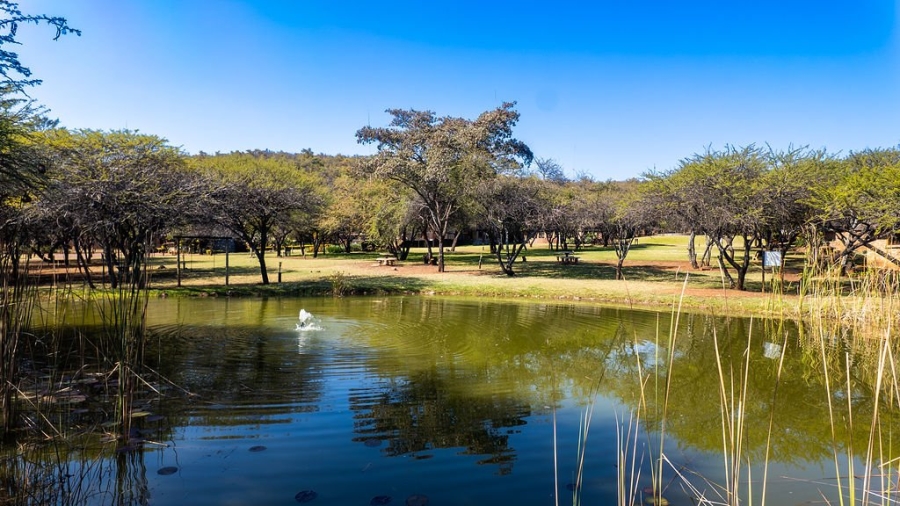 31 Bedroom Property for Sale in Dinokeng Game Reserve Gauteng