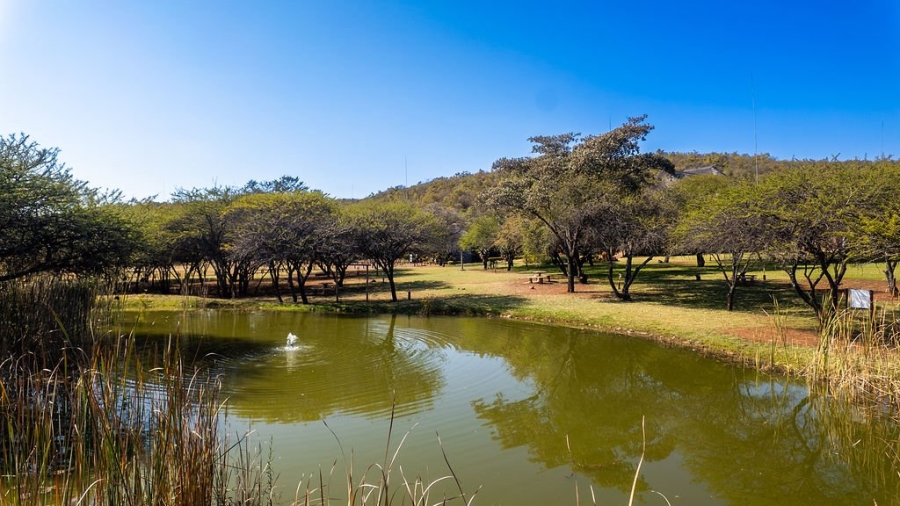 31 Bedroom Property for Sale in Dinokeng Game Reserve Gauteng