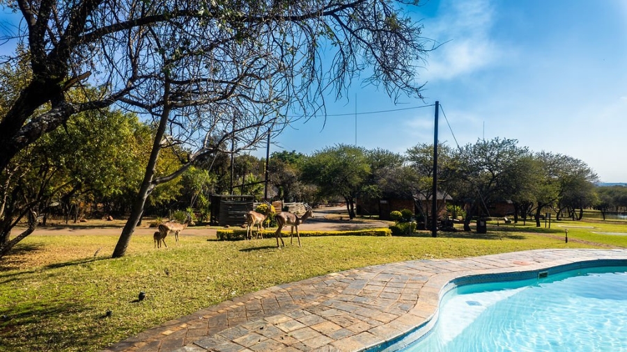 31 Bedroom Property for Sale in Dinokeng Game Reserve Gauteng