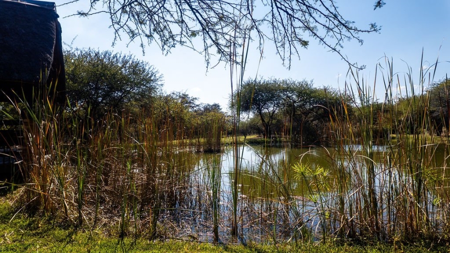 31 Bedroom Property for Sale in Dinokeng Game Reserve Gauteng