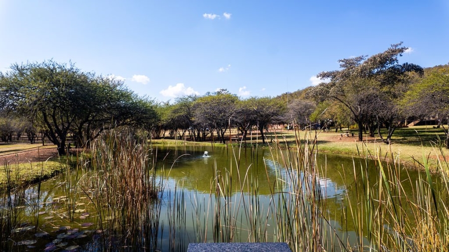 31 Bedroom Property for Sale in Dinokeng Game Reserve Gauteng