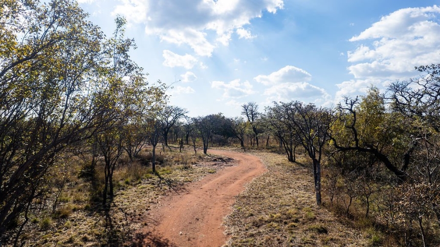 31 Bedroom Property for Sale in Dinokeng Game Reserve Gauteng