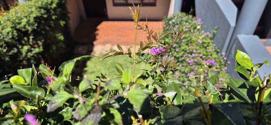 1 Bedroom Property for Sale in Morning Hill Gauteng