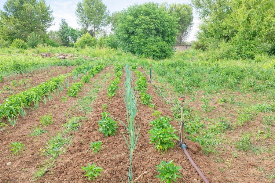 3 Bedroom Property for Sale in Walker Fruit Farms Gauteng