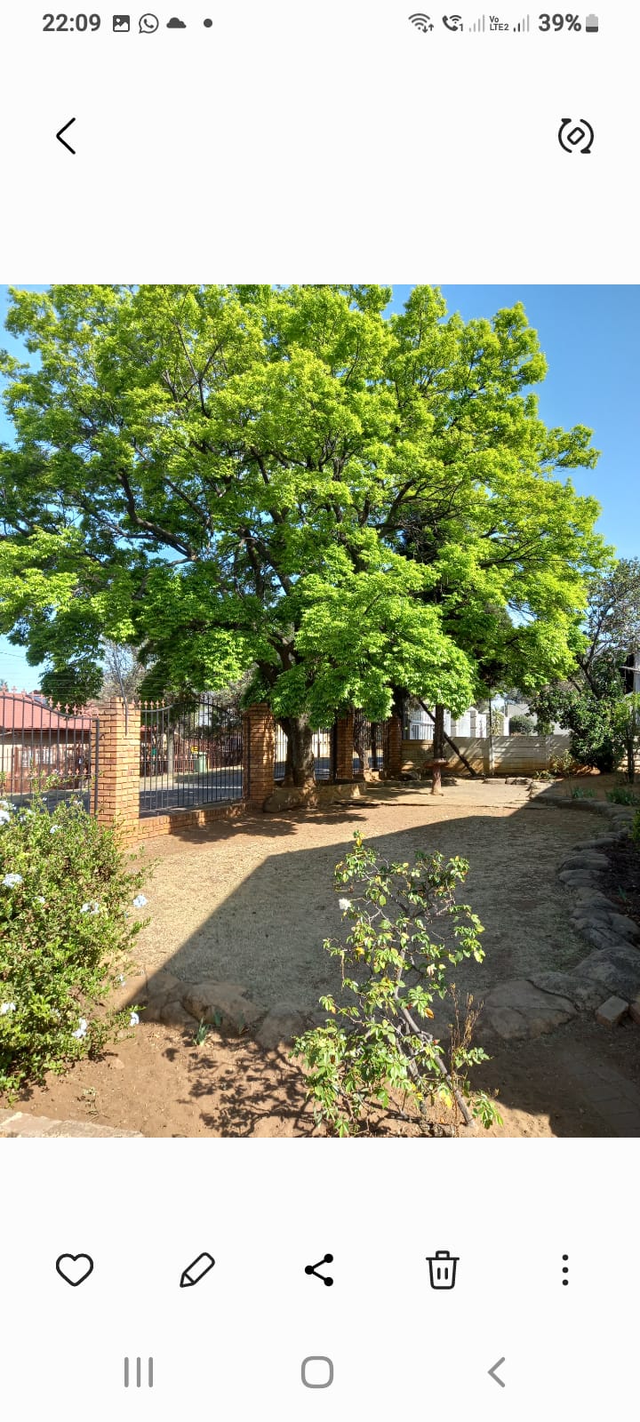 To Let 3 Bedroom Property for Rent in South Crest Gauteng