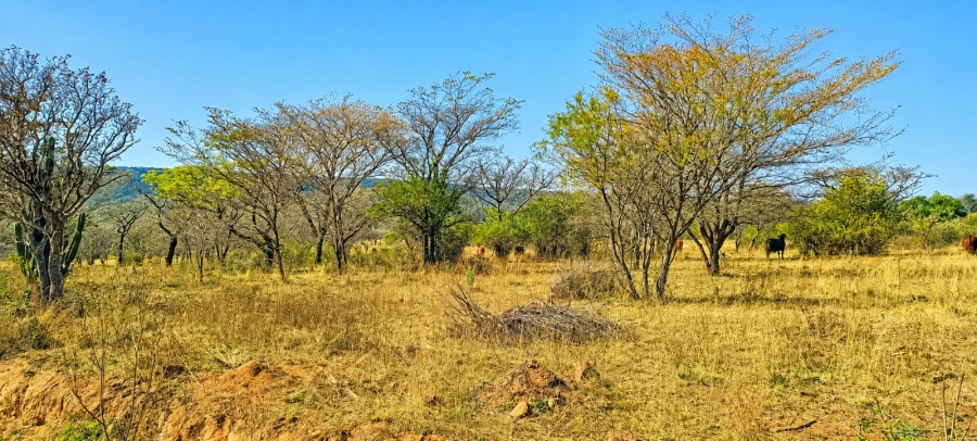 Commercial Property for Sale in Oog Van Boekenhoutskloof Alias Tweefonte Gauteng