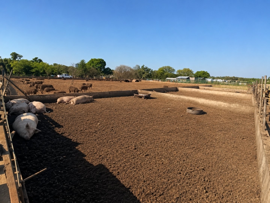 Commercial Property for Sale in Oog Van Boekenhoutskloof Alias Tweefonte Gauteng