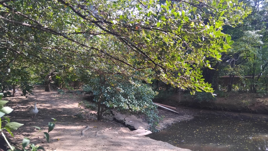 Commercial Property for Sale in Glen Austin Gauteng