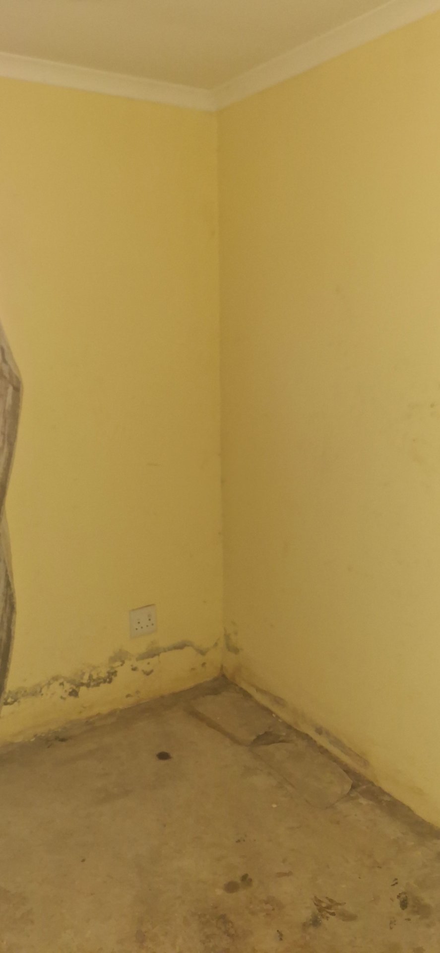 3 Bedroom Property for Sale in Windmill Park Gauteng