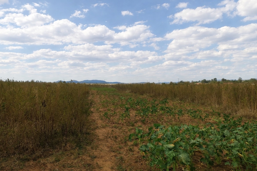 Commercial Property for Sale in Helderstrome AH Gauteng