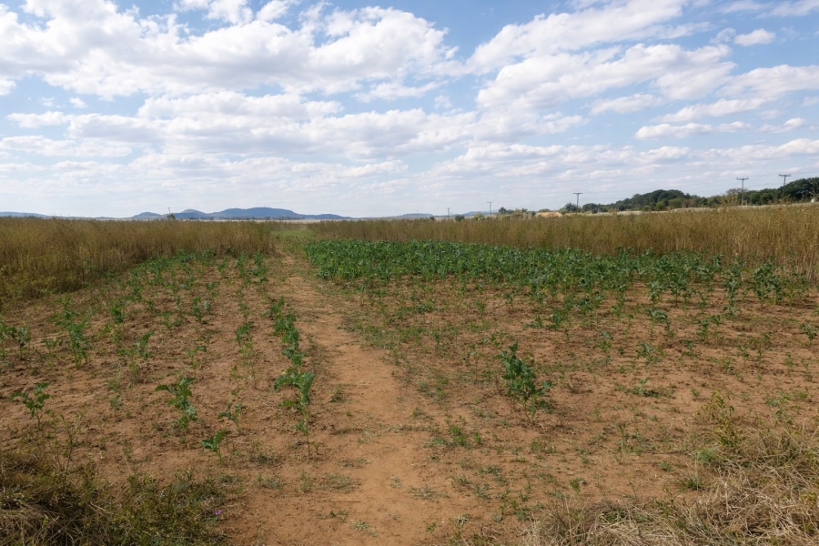 Commercial Property for Sale in Helderstrome AH Gauteng