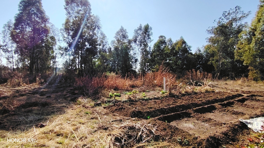 Commercial Property for Sale in Nelsonia Gauteng