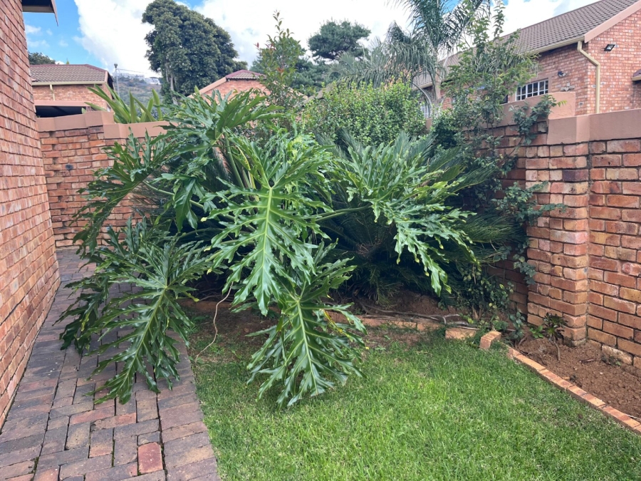 To Let 3 Bedroom Property for Rent in Amorosa Gauteng