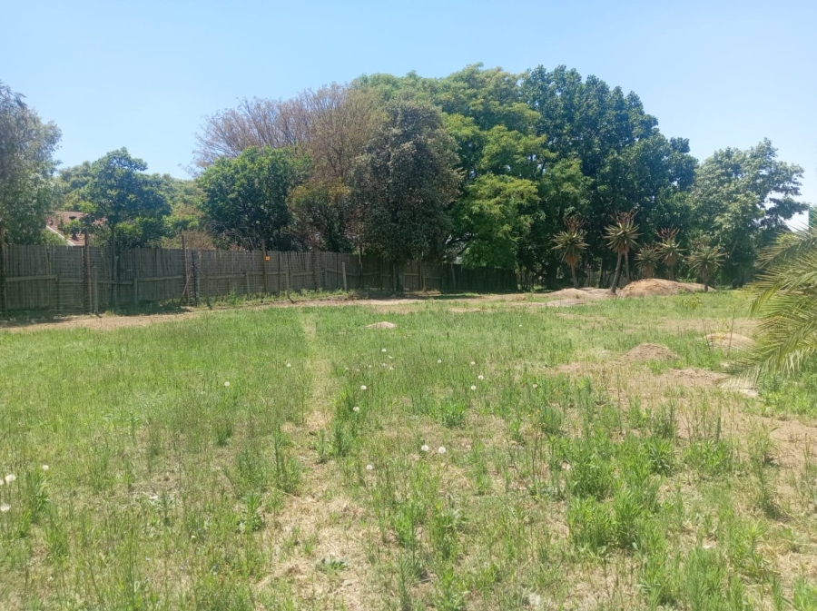 To Let Commercial Property for Rent in President Park Gauteng