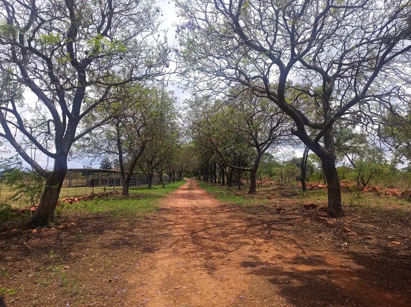 Commercial Property for Sale in Oog Van Boekenhoutskloof Alias Tweefonte Gauteng
