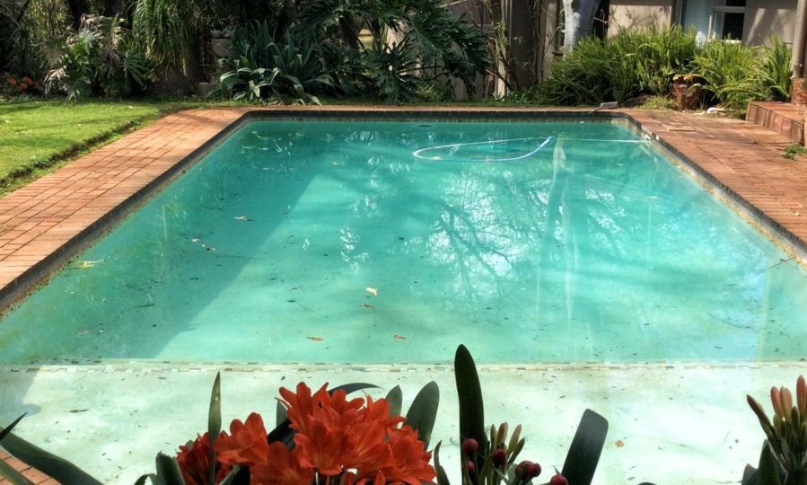 To Let 3 Bedroom Property for Rent in Fairland Gauteng