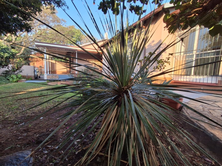 To Let 3 Bedroom Property for Rent in Florauna Gauteng