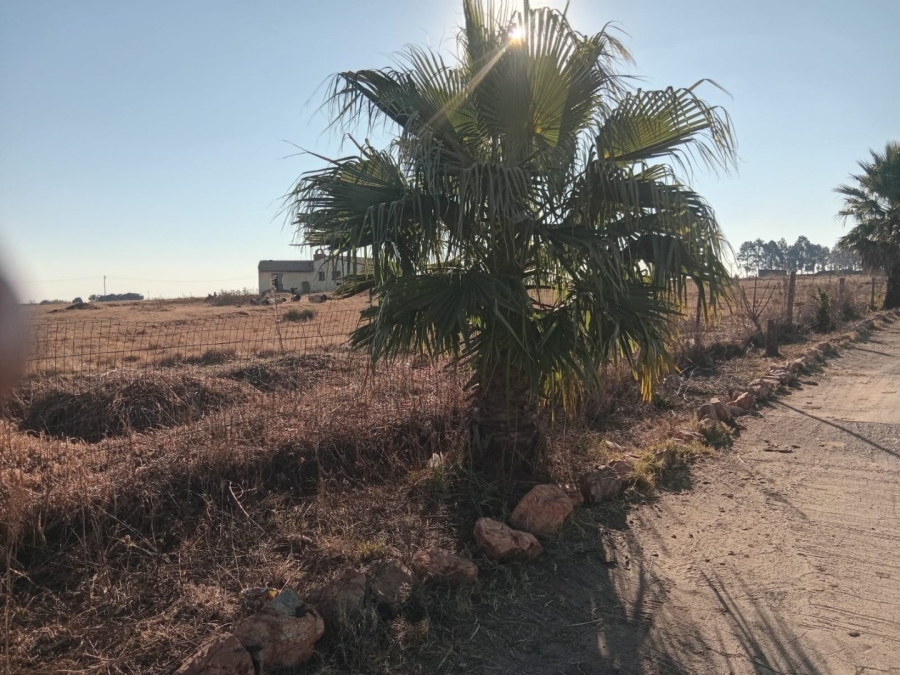 Commercial Property for Sale in Mapleton A H Gauteng