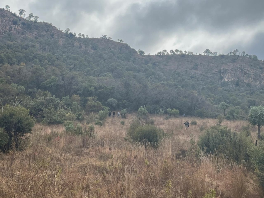 Commercial Property for Sale in Hornsoord A H Gauteng