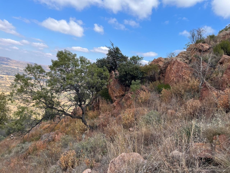 Commercial Property for Sale in Hornsoord A H Gauteng
