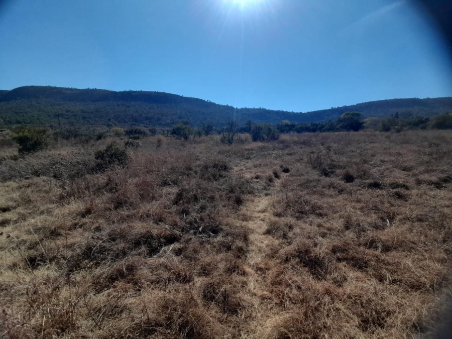 Commercial Property for Sale in Hornsoord A H Gauteng