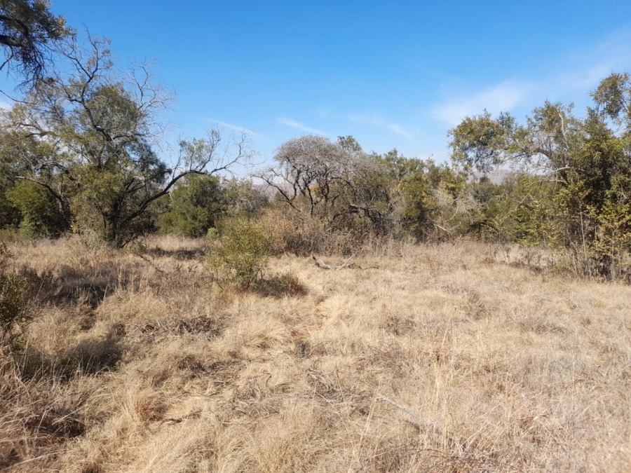 Commercial Property for Sale in Hornsoord A H Gauteng