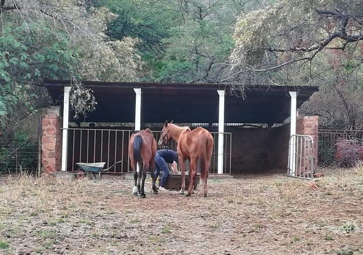 Commercial Property for Sale in Hornsoord A H Gauteng