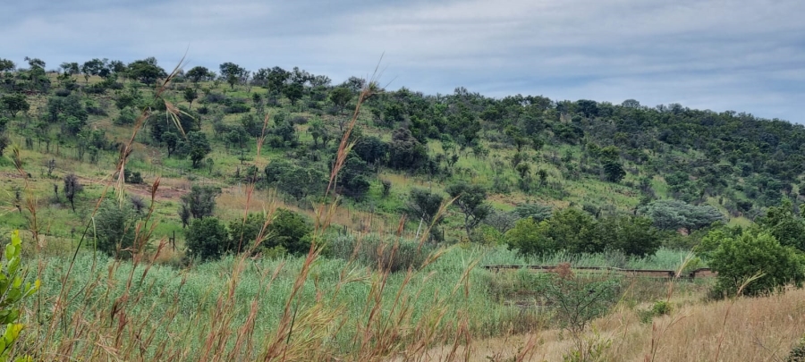Commercial Property for Sale in Dinokeng Game Reserve Gauteng