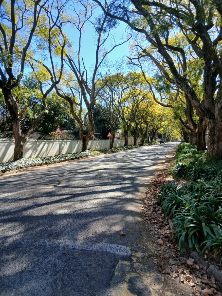 3 Bedroom Property for Sale in Saxonwold Gauteng