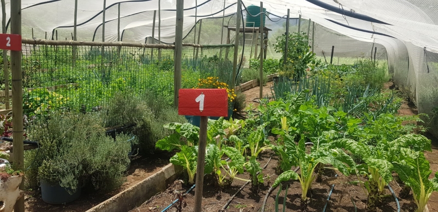 Commercial Property for Sale in Pretoria West Gauteng