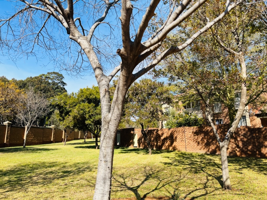 To Let  Bedroom Property for Rent in Mooikloof Ridge Gauteng