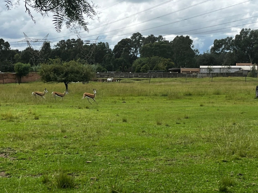  Bedroom Property for Sale in Benoni AH Gauteng