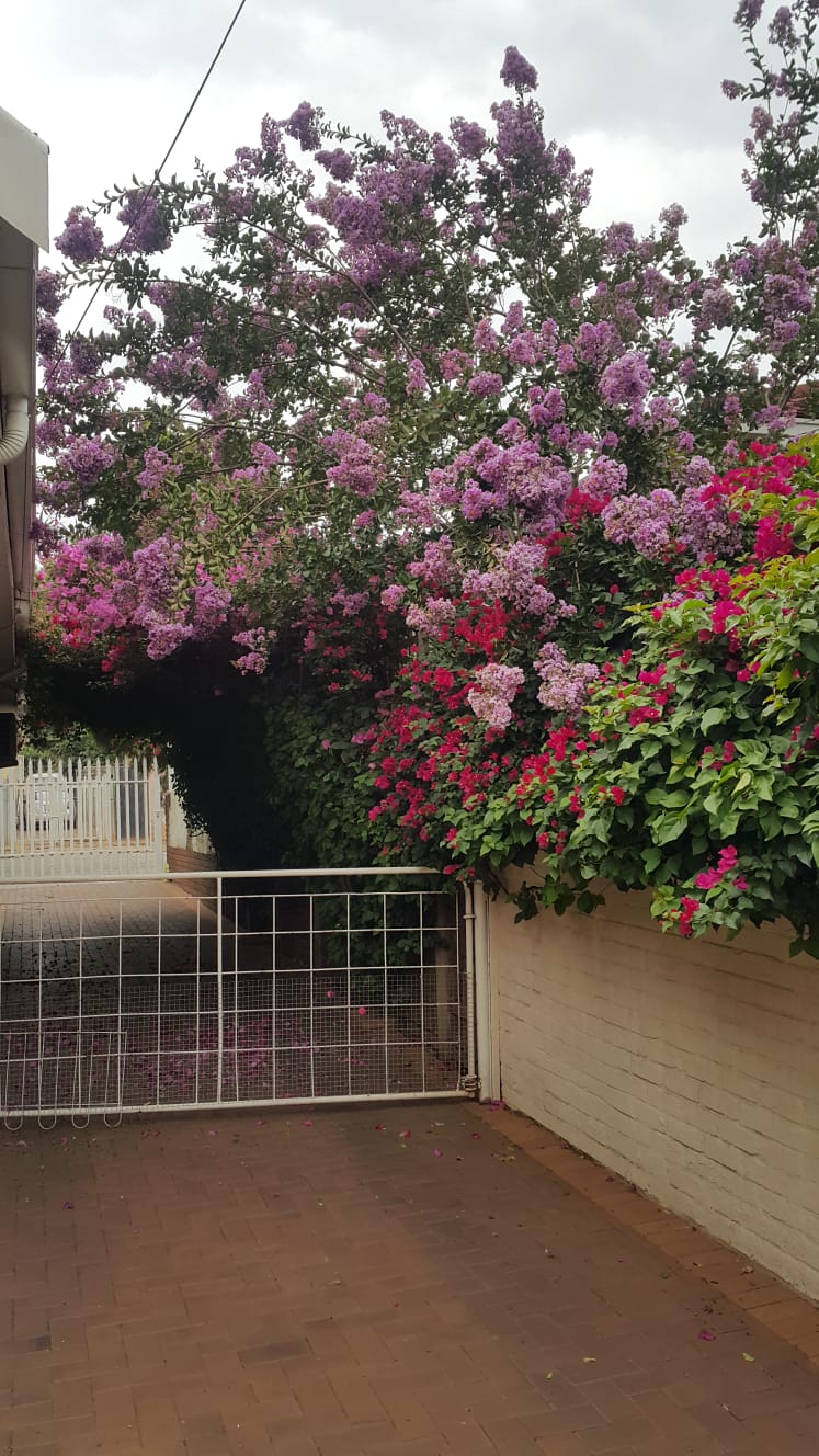6 Bedroom Property for Sale in Kensington Gauteng