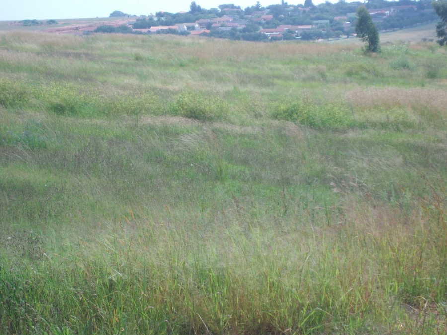 Commercial Property for Sale in Bultfontein Gauteng