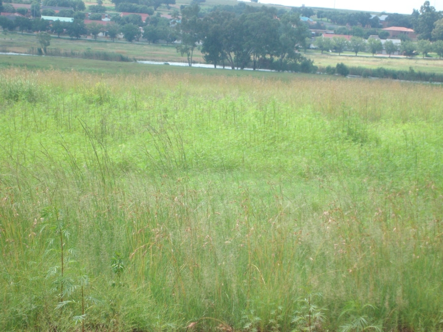 Commercial Property for Sale in Bultfontein Gauteng