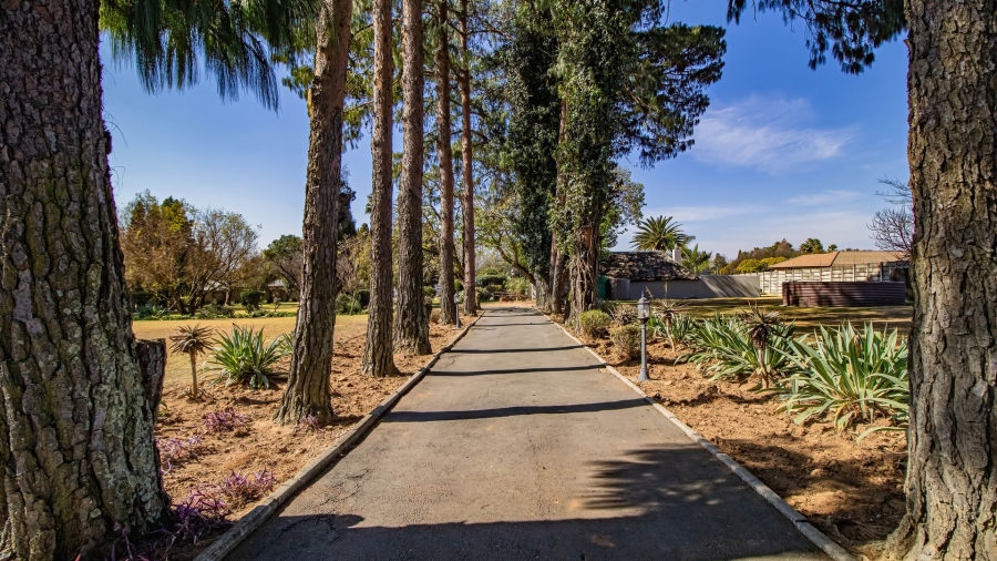 4 Bedroom Property for Sale in Benoni North Gauteng