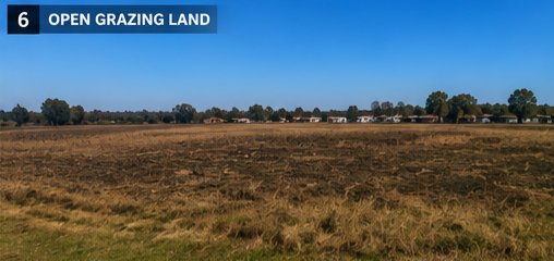  Bedroom Property for Sale in Sesfontein Gauteng