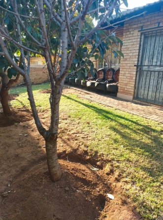 3 Bedroom Property for Sale in Heuwelsig Estate Gauteng