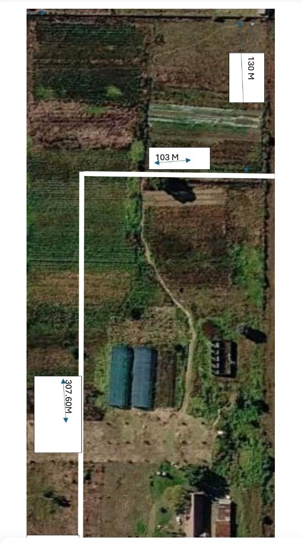 Commercial Property for Sale in Homestead Apple Orchards Gauteng