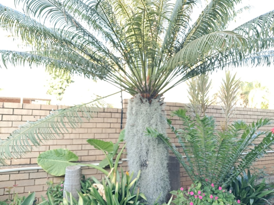 3 Bedroom Property for Sale in Montana Park Gauteng