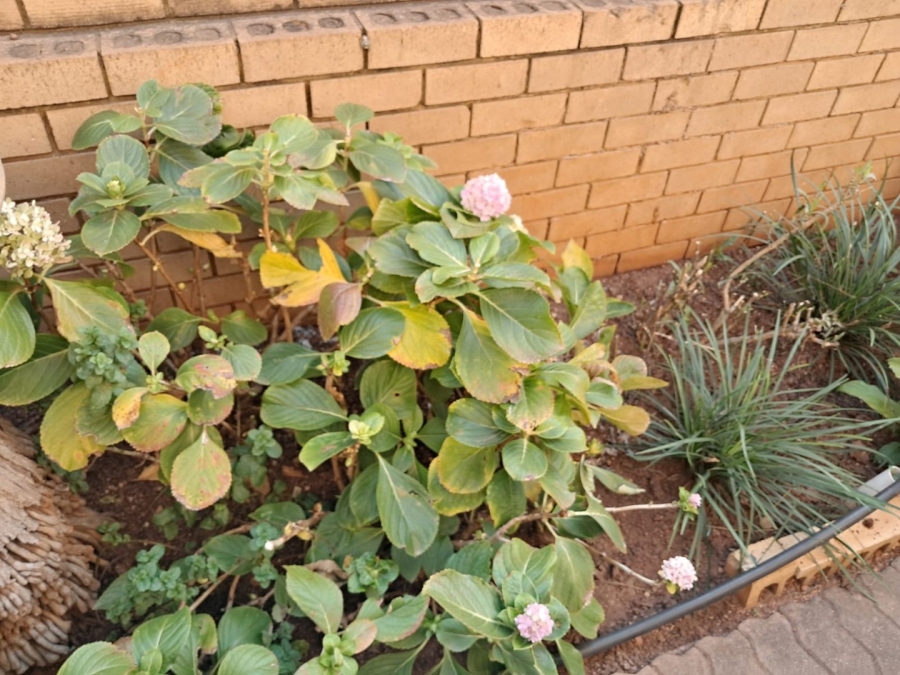 3 Bedroom Property for Sale in Montana Park Gauteng