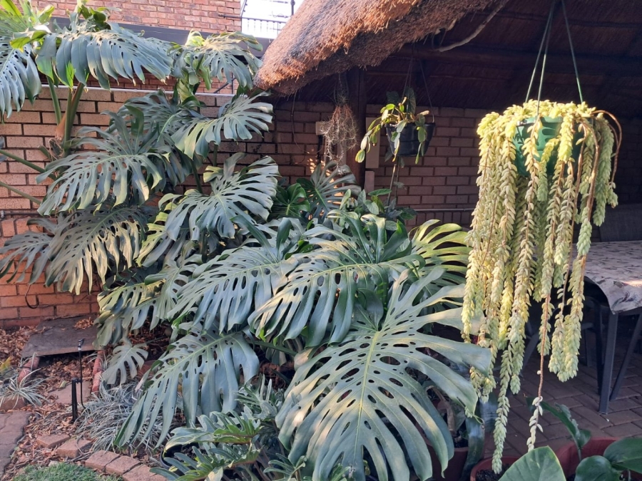 3 Bedroom Property for Sale in Montana Park Gauteng